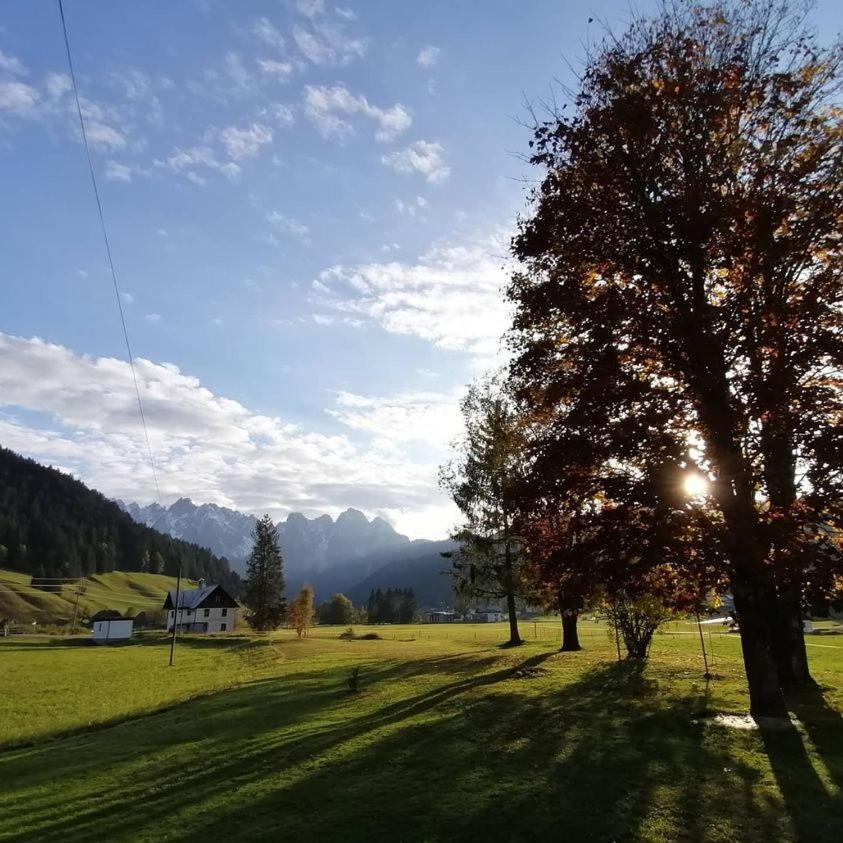 Haus Gruenwald Apartment Gosau Bagian luar foto