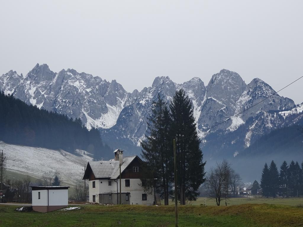 Haus Gruenwald Apartment Gosau Bagian luar foto