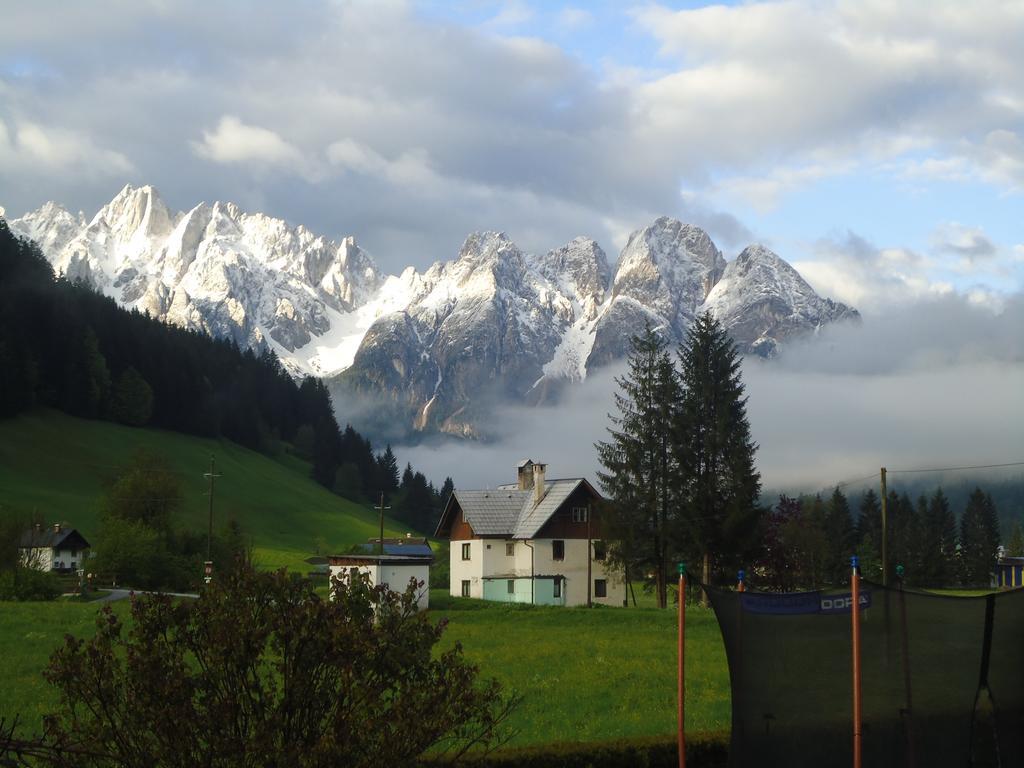 Haus Gruenwald Apartment Gosau Bagian luar foto